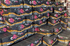 EXPORT-PRODUCT3