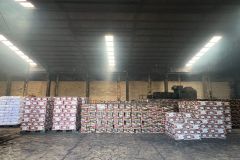 EXPORT-PRODUCT7